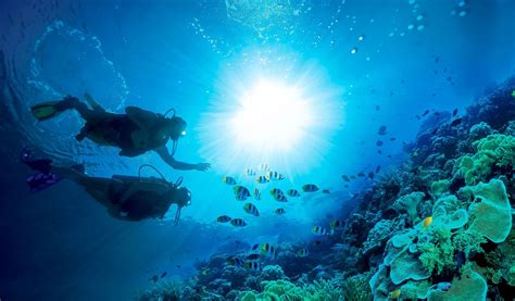 Scuba Diving Near Providenciales, Turks & Caicos | BEACHES