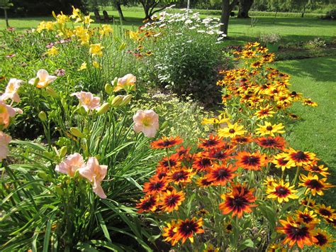 perennial border | Perennial border, Perennials, Flower garden