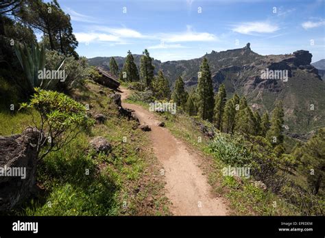 Hiking trail in Cruz de Tejeda, Roque Nublo behind, Gran Canaria Stock Photo: 82681836 - Alamy