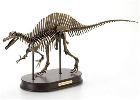 Spinosaurus Skeleton by DinoStoreus - Dan's Dinosaurs