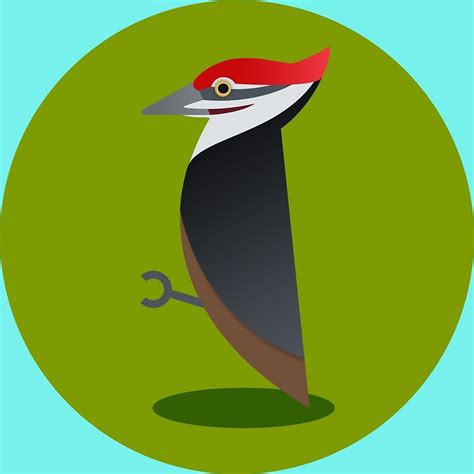 "Pileated Woodpecker" by Megan Prior-Pfeifer | Redbubble