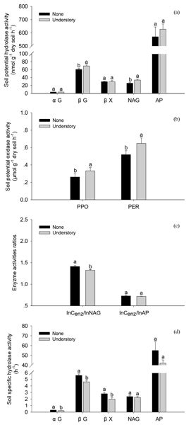 BG - Understory vegetation plays the key role in sustaining soil microbial biomass and ...