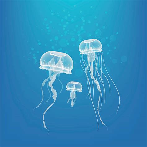 Jellyfish Illustrations, Royalty-Free Vector Graphics & Clip Art - iStock