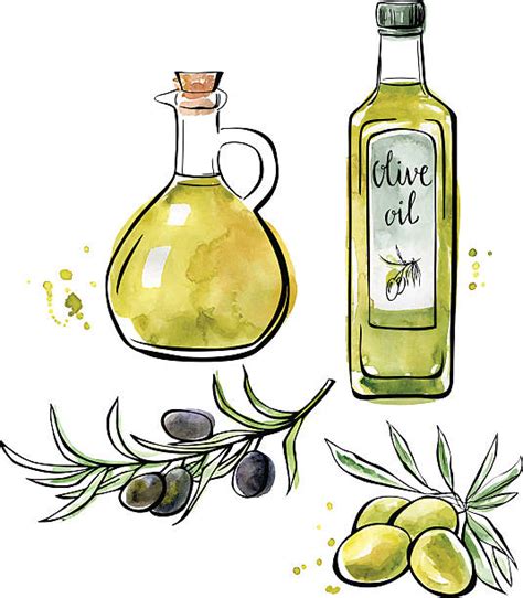 clipart olive oil 20 free Cliparts | Download images on Clipground 2024