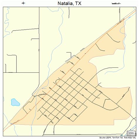 Natalia Texas Street Map 4850400