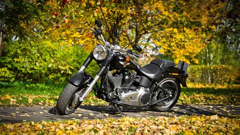 Harley Davidson Bikes Wallpapers Desktop