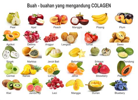 EKOGEO: KALIUM : LOGAM ALKALI PUTIH KEPERAKAN DAN LUNAK