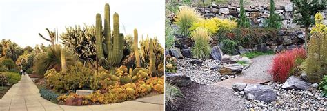 Unique Design Ideas for Desert Landscaping — AV Rock Supply