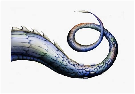 Download Dragontail Sgsword Cyo - Dragon Tail Png, Transparent Png , Transparent Png Image - PNGitem