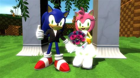 SonAmy Wedding by CyotheLion on DeviantArt | Sonic and amy, Sonic funny, Sonic