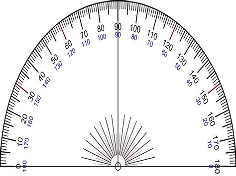 10 Semicircle Examples in Real Life – StudiousGuy