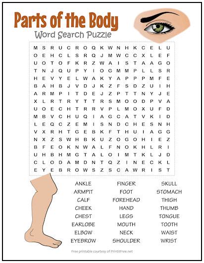 Parts of the Body Word Search Puzzle | Print it Free