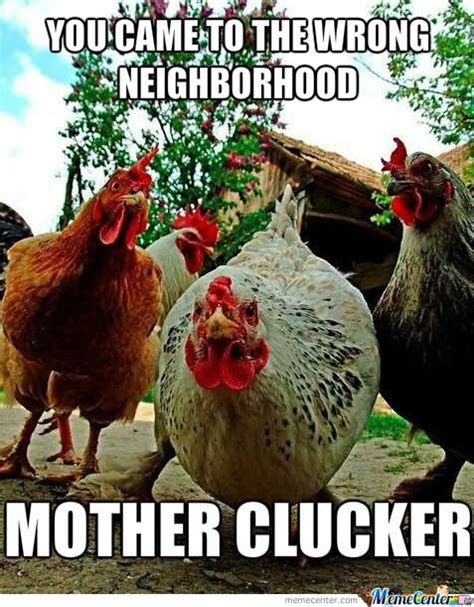 30 Most Funniest Chicken Meme Pictures That Will Make You Laugh