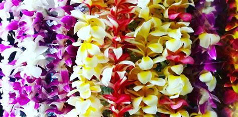 Lei: A Unique Hawaiian Custom