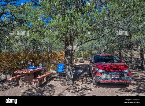 Campsite at Indian Hollow Campground, Kaibab Plateau, Kaibab National ...