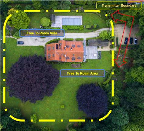 Wireless Dog Fence: A Complete Guide | Harness Hub