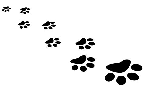 Paw Prints Free Stock Photo - Public Domain Pictures