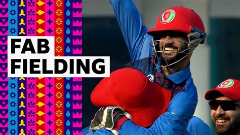 Cricket World Cup 2023: Superb Afghanistan fielding takes three Netherlands wickets - BBC Sport