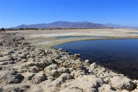 World's Largest Lithium Reserve Found Beneath Salton Sea - helloscholar ...