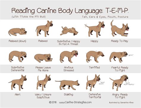 Dog Body Language, tail ears eyes posture mouth, relaxed nervous ...