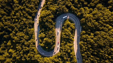 Aerial View of Green Trees and Road · Free Stock Photo