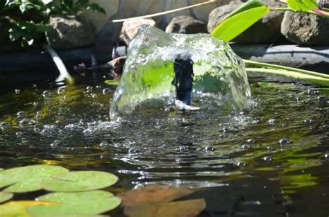 Best Solar Powered Pond Pump | Easy To Install And No Bills ...