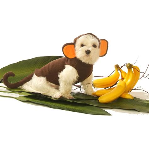 Monkey Dog Costume by Doggie Design with Same Day Shipping | BaxterBoo