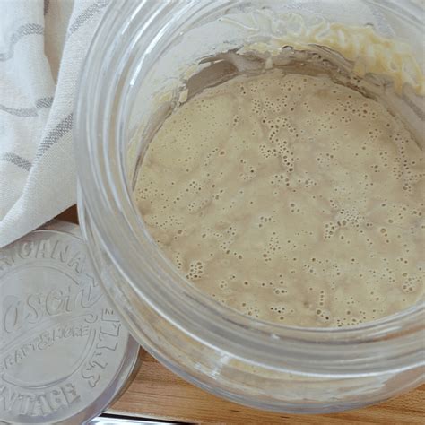 Dense Bread - 23 Fixes for Dense Sourdough - Healthfully Rooted Home