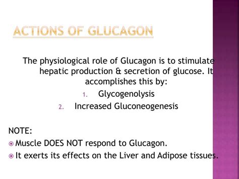 PPT - GLUCAGON PowerPoint Presentation - ID:6433139