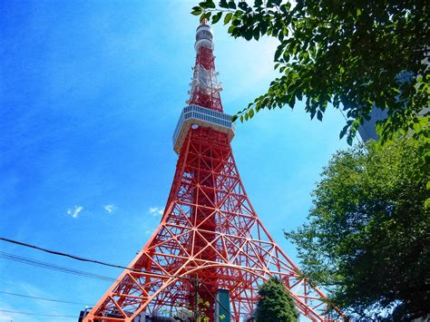 The Ultimate Views From The Tokyo Tower - Explore Shaw