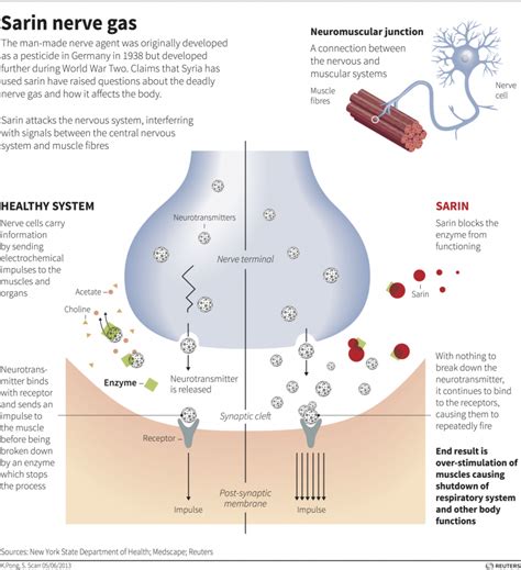 Breathing the nerve gas reportedly used in Syria feels like 'a knife made of fire' in your lungs