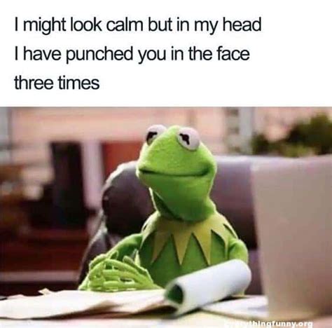 25 Kermit the Frog Memes That Are Insanely Hilarious - SayingImages.com