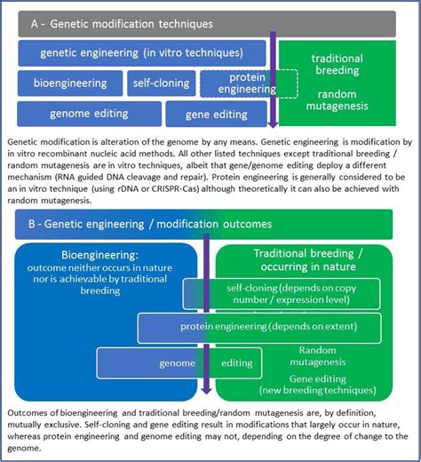 Differentiation among genetic modification techniques (A) and... | Download Scientific Diagram