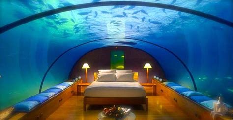 underwater hotel key largo florida – underwater hotel rooms key largo – Empiretory