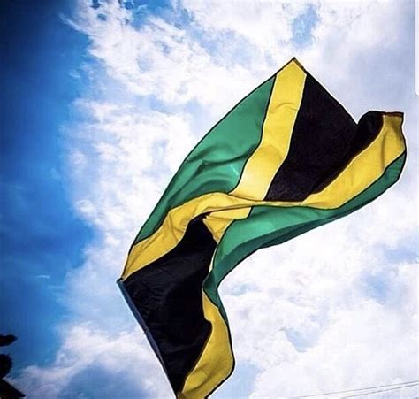 Jamaica 🇯🇲 Flag | Jamaica flag, Jamaican culture, Jamaica