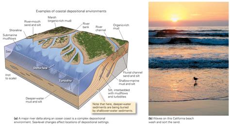 What Is Deposition Geology