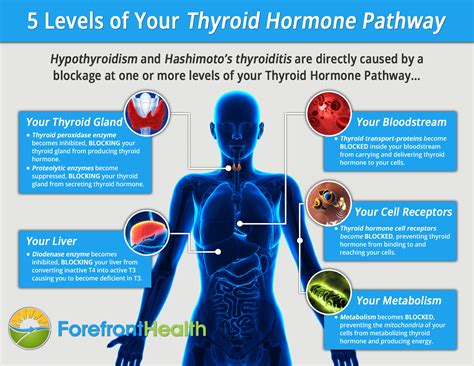 How We Overcome Hypothyroidism When All Else Fails