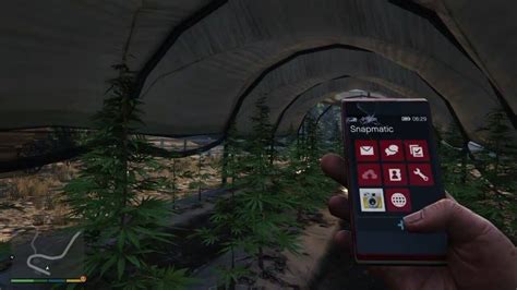 GTA V - Trevor raids a weed farm for $60,000 - YouTube