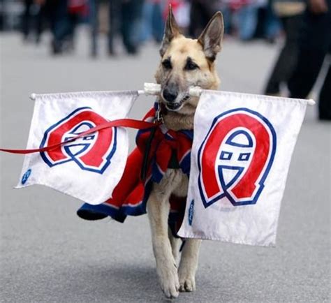 Montreal Canadiens unofficial mascot Hockey Girls, Hockey Mom, Hockey ...