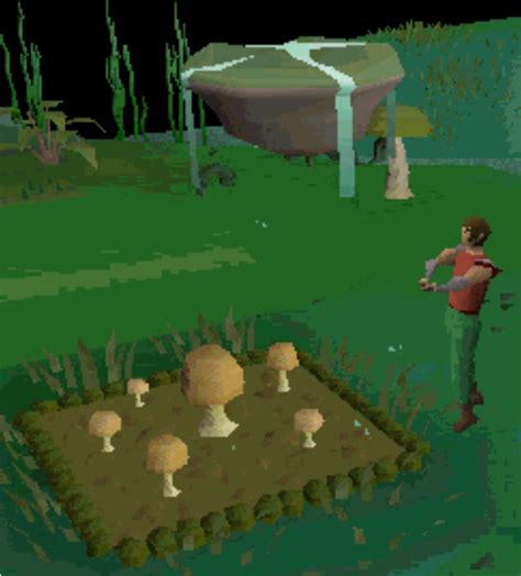 OSRS Efficient Farming Guide 1-99