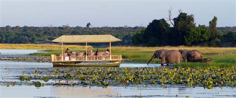 Ultimate Botswana Safari - Luxury Lodges and Remote Camps