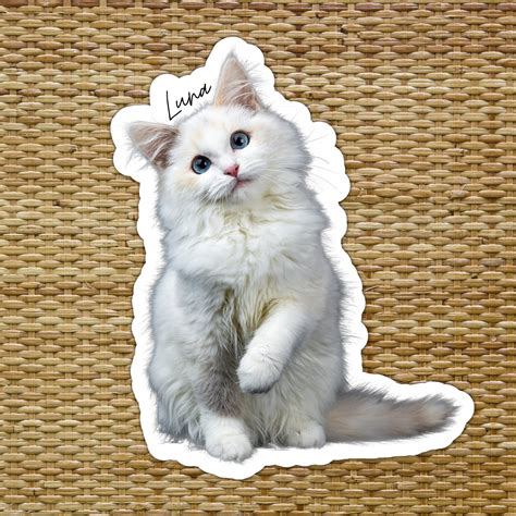 12 Pet Stickers Custom Cat Sticker From Photo Personalized - Etsy