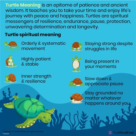 The Spiritual Meaning And Symbolism Of A Turtle