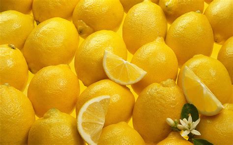 [300+] Lemon Wallpapers | Wallpapers.com