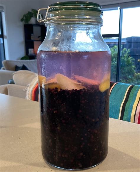 Elderberry liqueur : r/firewater