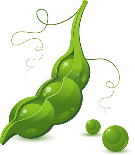 Cute Little Cartoon Emoji Green Peas in a Pod Isolated on White Stock ...