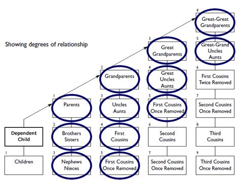 Information For Relatives and NREFM Old Version as of 12-7-2017 – Advokids: A Legal Resource for ...