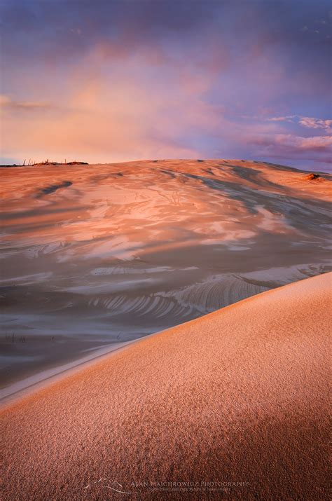 Oregon Dunes National Recreation Area - Alan Majchrowicz Photography