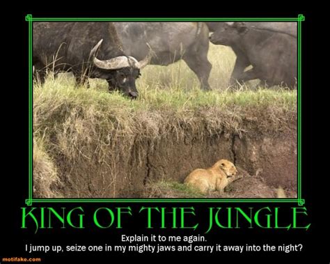 King Of The Jungle Quotes. QuotesGram