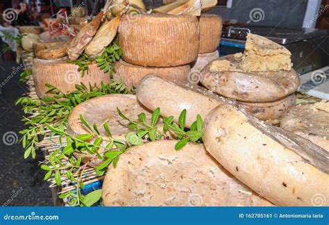 Casu Marzu, Sardinian Cheese with Worms Stock Image - Image of caciotta ...